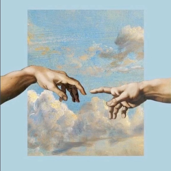 Meet your Posher, Riley - Picture 1 of 1